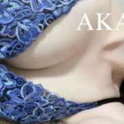 あかり キャンセルでました！ 五反田人妻ヒットパレード（シンデレラグループ）