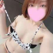 ヒメ日記 2025/04/26 09:26 投稿 アキ クラブバレンタイン神戸西店