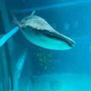 ヒメ日記 2024/12/19 15:52 投稿 こと 奥様の実話 なんば店