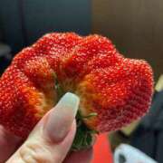 ヒメ日記 2025/02/17 11:41 投稿 こと 奥様の実話 なんば店