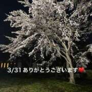 ヒメ日記 2025/03/31 21:57 投稿 こと 奥様の実話 なんば店