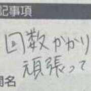 ヒメ日記 2025/05/19 19:30 投稿 こと 奥様の実話 なんば店