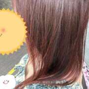 ヒメ日記 2025/09/10 15:04 投稿 こと 奥様の実話 なんば店