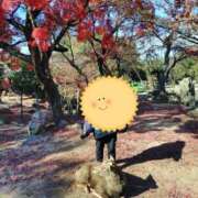 こと 向かってます⭐️ 奥様の実話 なんば店