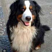 ヒメ日記 2026/01/17 00:39 投稿 こと 奥様の実話 なんば店