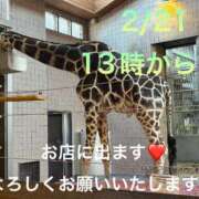 ヒメ日記 2026/02/20 10:48 投稿 こと 奥様の実話 なんば店