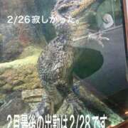 ヒメ日記 2026/02/26 20:52 投稿 こと 奥様の実話 なんば店