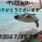 ヒメ日記 2026/07/27 22:37 投稿 こと 奥様の実話 なんば店