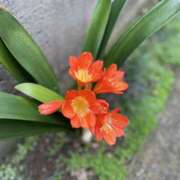 ヒメ日記 2025/01/14 09:18 投稿 ゆめ みこすり半道場 大阪店