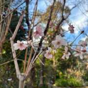 ヒメ日記 2025/02/22 16:37 投稿 みかん 東京エンジェルライン 立川店