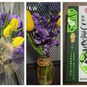 ヒメ日記 2025/04/01 18:21 投稿 佐々波エヴァ Mrs. Dandy Shinjuku