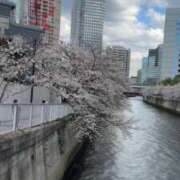 ヒメ日記 2025/04/04 16:45 投稿 佐々波エヴァ Mrs. Dandy Shinjuku