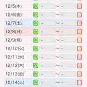 ヒメ日記 2024/11/20 23:02 投稿 ひかる ニューヨークニューヨーク