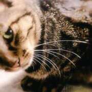 ヒメ日記 2025/01/06 23:01 投稿 ひかる ニューヨークニューヨーク