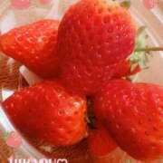 ヒメ日記 2025/02/02 12:04 投稿 ひかる ニューヨークニューヨーク