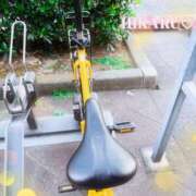 ヒメ日記 2025/02/14 07:49 投稿 ひかる ニューヨークニューヨーク