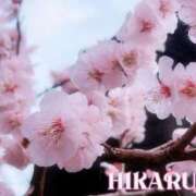 ヒメ日記 2025/03/02 22:01 投稿 ひかる ニューヨークニューヨーク