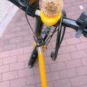 ヒメ日記 2025/09/28 08:27 投稿 ひかる ニューヨークニューヨーク