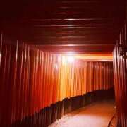 ヒメ日記 2025/11/17 21:59 投稿 ひかる ニューヨークニューヨーク