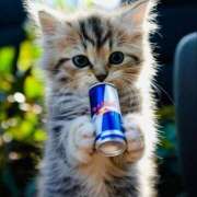 ヒメ日記 2025/12/08 00:29 投稿 ひかる ニューヨークニューヨーク