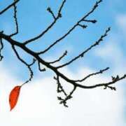 ヒメ日記 2024/12/08 08:19 投稿 ゆず ニューヨークニューヨーク