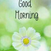 ヒメ日記 2025/01/26 08:58 投稿 ゆず ニューヨークニューヨーク