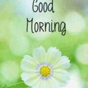 ヒメ日記 2025/02/02 08:12 投稿 ゆず ニューヨークニューヨーク