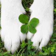 ヒメ日記 2025/02/05 13:14 投稿 ゆず ニューヨークニューヨーク