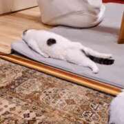 ヒメ日記 2025/02/09 12:18 投稿 ゆず ニューヨークニューヨーク