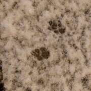 ヒメ日記 2025/03/05 08:00 投稿 ゆず ニューヨークニューヨーク