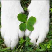 ヒメ日記 2025/03/12 08:06 投稿 ゆず ニューヨークニューヨーク