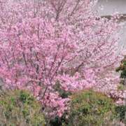 ヒメ日記 2025/03/30 12:22 投稿 ゆず ニューヨークニューヨーク