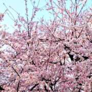 ヒメ日記 2025/04/06 16:30 投稿 ゆず ニューヨークニューヨーク