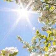 ヒメ日記 2025/04/09 12:10 投稿 ゆず ニューヨークニューヨーク