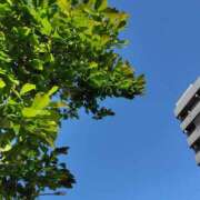 ヒメ日記 2025/04/30 08:07 投稿 ゆず ニューヨークニューヨーク