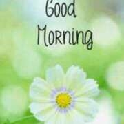 ヒメ日記 2025/06/01 07:57 投稿 ゆず ニューヨークニューヨーク