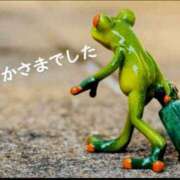 ヒメ日記 2025/06/25 16:36 投稿 ゆず ニューヨークニューヨーク