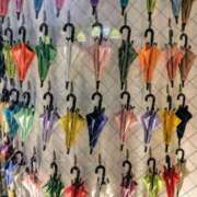 ヒメ日記 2025/06/29 16:15 投稿 ゆず ニューヨークニューヨーク