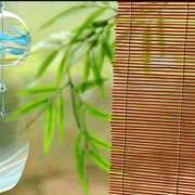 ヒメ日記 2025/07/09 19:24 投稿 ゆず ニューヨークニューヨーク