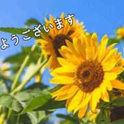 ヒメ日記 2025/08/17 08:11 投稿 ゆず ニューヨークニューヨーク