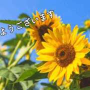 ヒメ日記 2025/08/24 08:02 投稿 ゆず ニューヨークニューヨーク