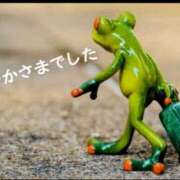 ヒメ日記 2025/11/09 16:10 投稿 ゆず ニューヨークニューヨーク