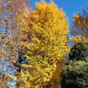 ゆず おはようございます ニューヨークニューヨーク