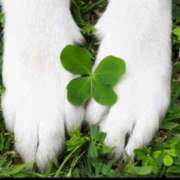 ヒメ日記 2025/12/31 07:55 投稿 ゆず ニューヨークニューヨーク