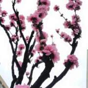 ヒメ日記 2026/03/25 08:06 投稿 ゆず ニューヨークニューヨーク