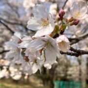 ヒメ日記 2026/03/29 12:32 投稿 ゆず ニューヨークニューヨーク