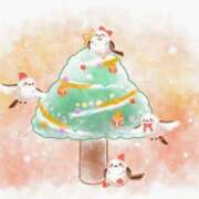 ヒメ日記 2024/12/13 09:23 投稿 さつき ニューヨークニューヨーク