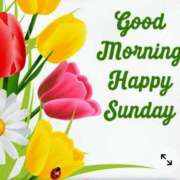 ヒメ日記 2025/04/06 09:16 投稿 さつき ニューヨークニューヨーク