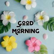 ヒメ日記 2025/04/11 09:28 投稿 さつき ニューヨークニューヨーク