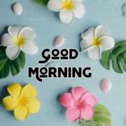 ヒメ日記 2025/05/03 09:54 投稿 さつき ニューヨークニューヨーク